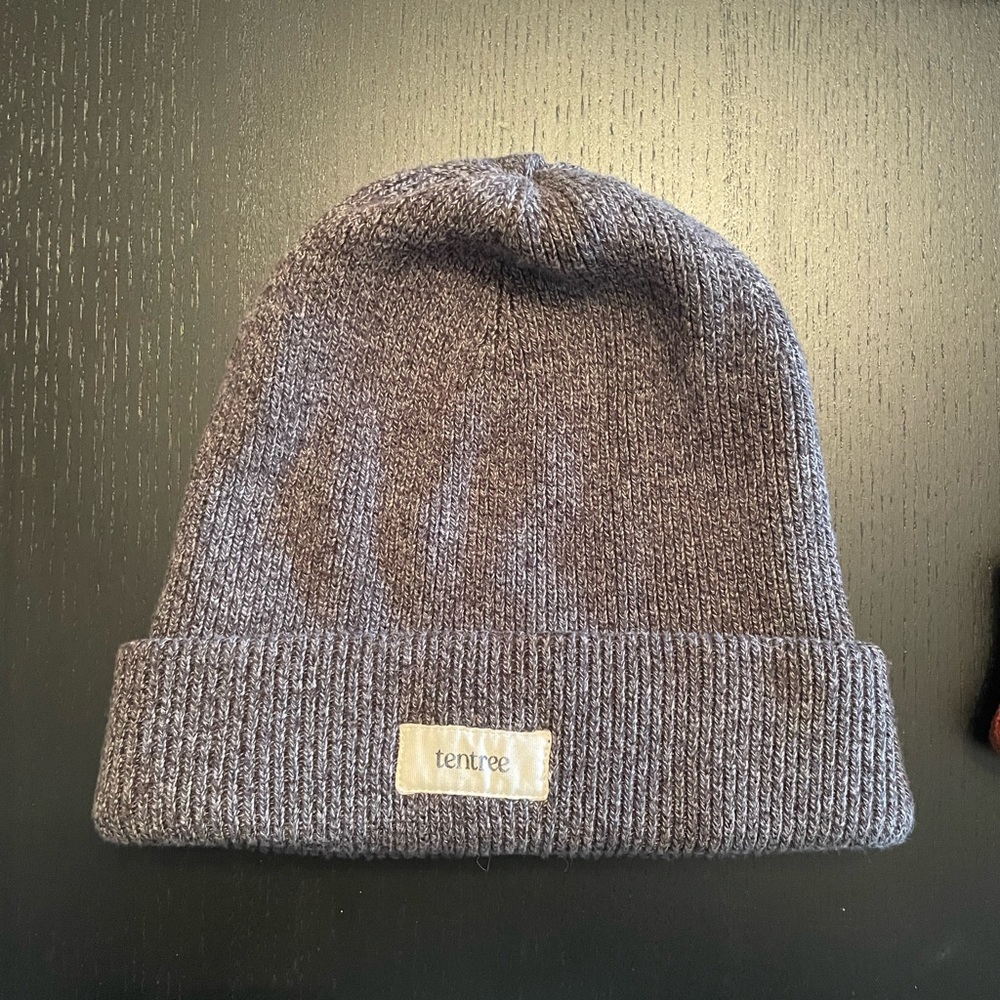Tentree Touque Beanie